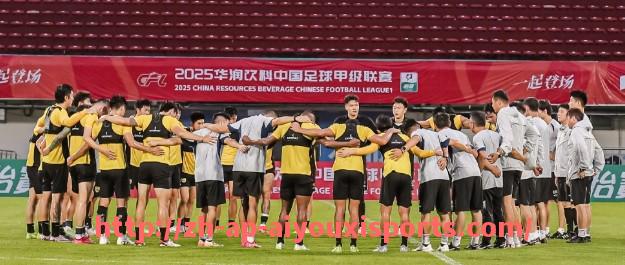 爱游戏体育官网-2017年NBA西部决赛的激烈对决与回顾