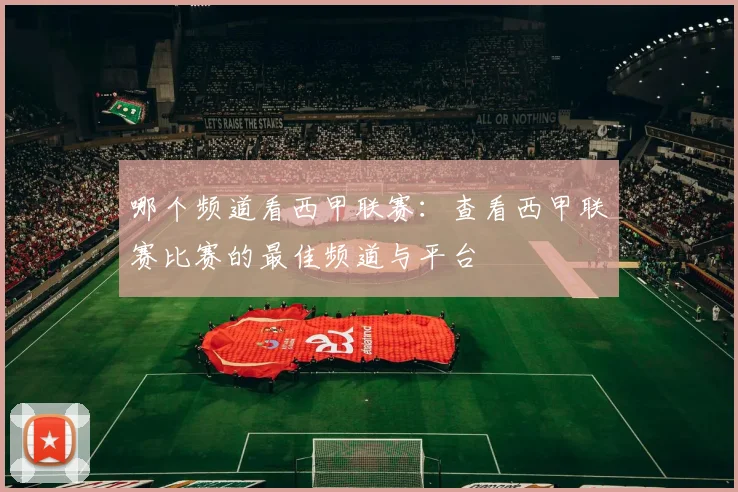 哪个频道看西甲联赛：查看西甲联赛比赛的最佳频道与平台