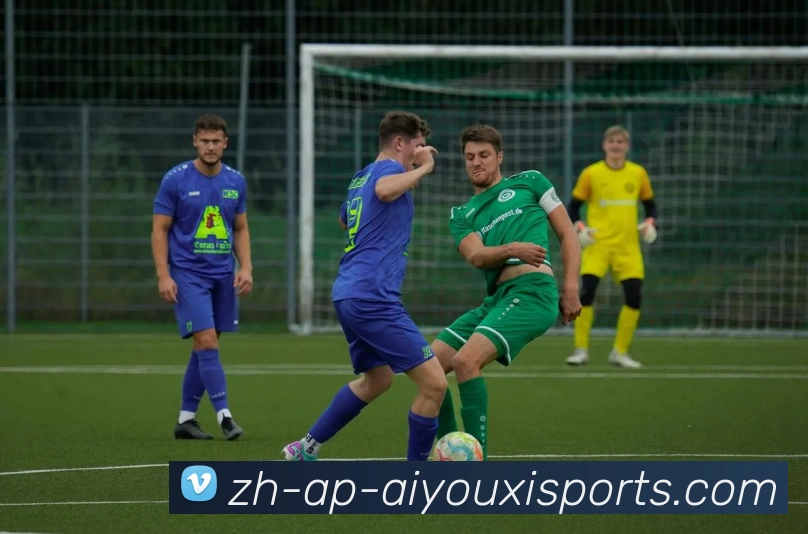 爱游戏体育平台生态图